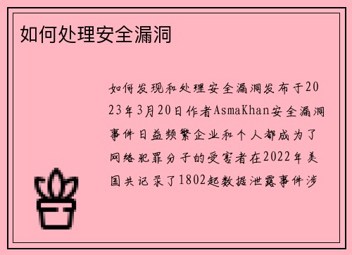 如何处理安全漏洞 