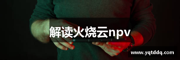 火烧云npv